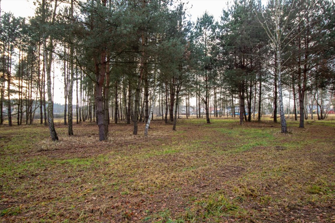 Działka budowlana na sprzedaż Koszęcin, Słowików  527m2 Foto 9