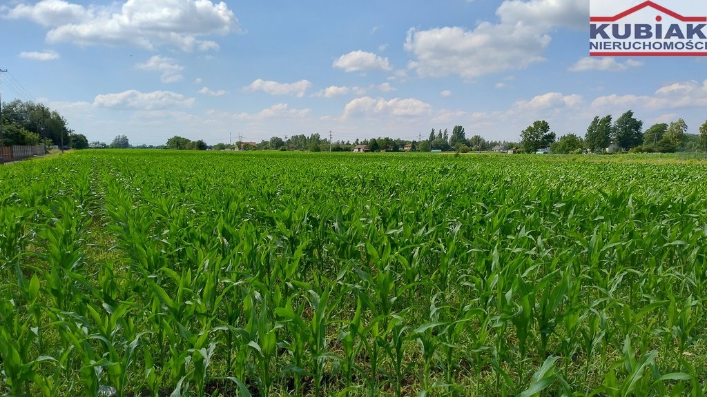 Działka budowlana na sprzedaż Żaby  15 207m2 Foto 1