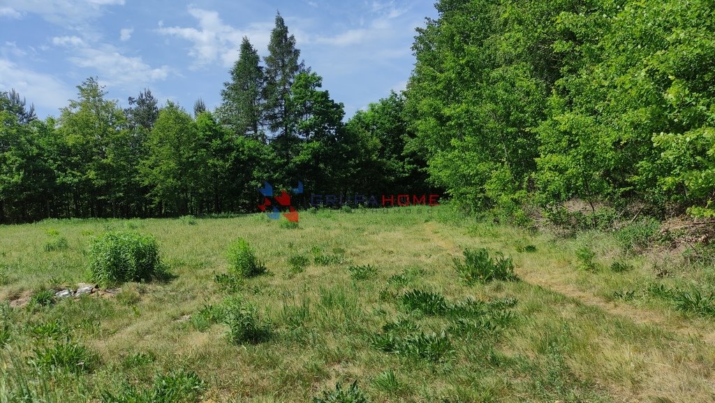 Działka 3000 m² z mediami, lasem i usługami (Łoś, Mazowieckie) Łoś  3 000m2 Foto 1