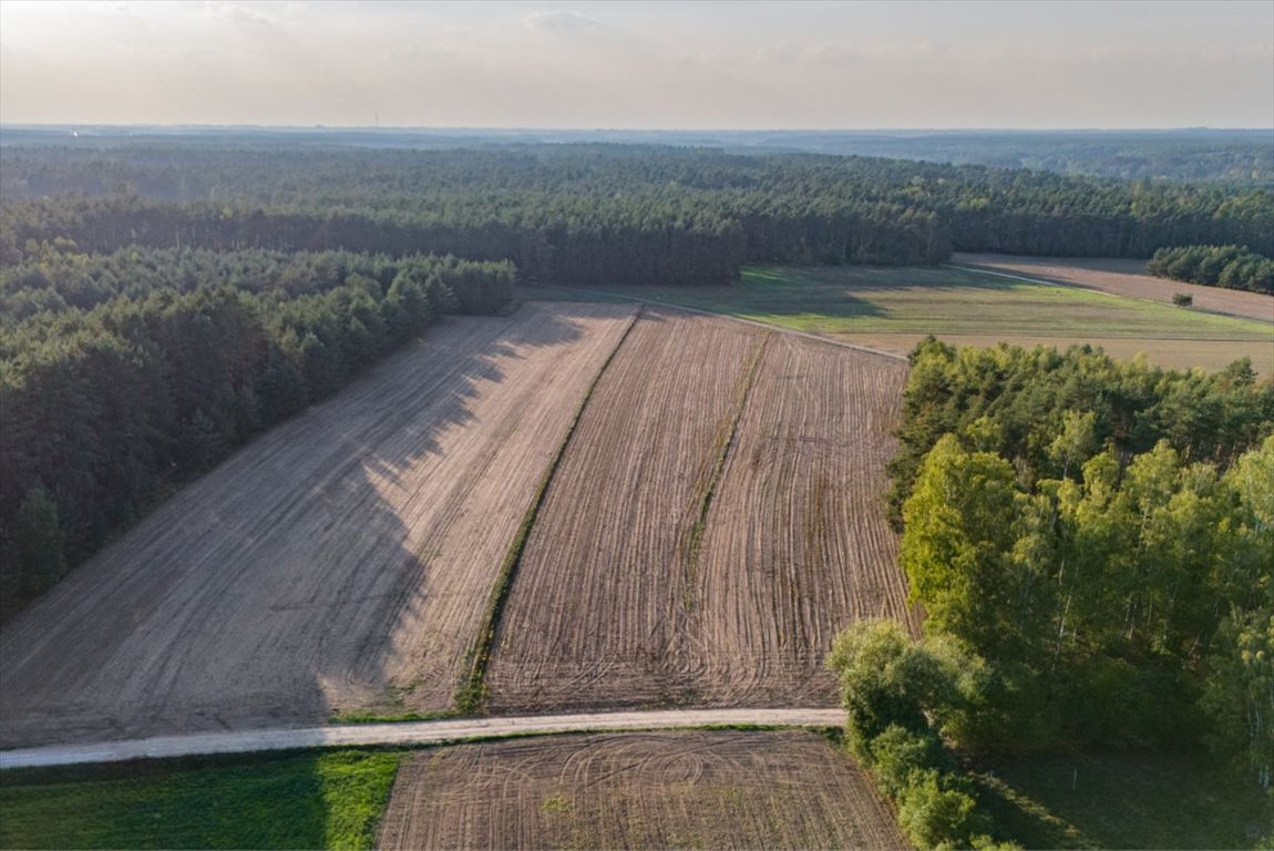 Działka rolna na sprzedaż Jesionka  6 800m2 Foto 9