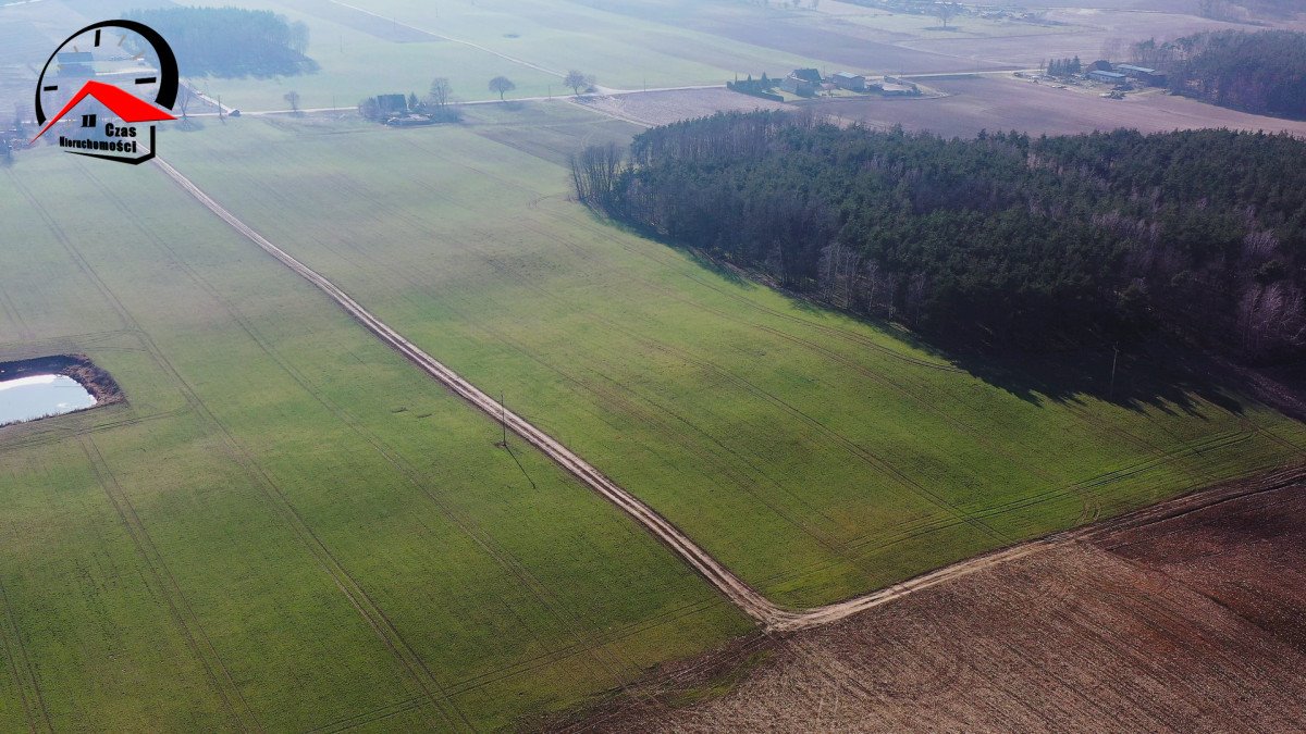 Działka gospodarstwo rolne na sprzedaż Barcin  36 400m2 Foto 7