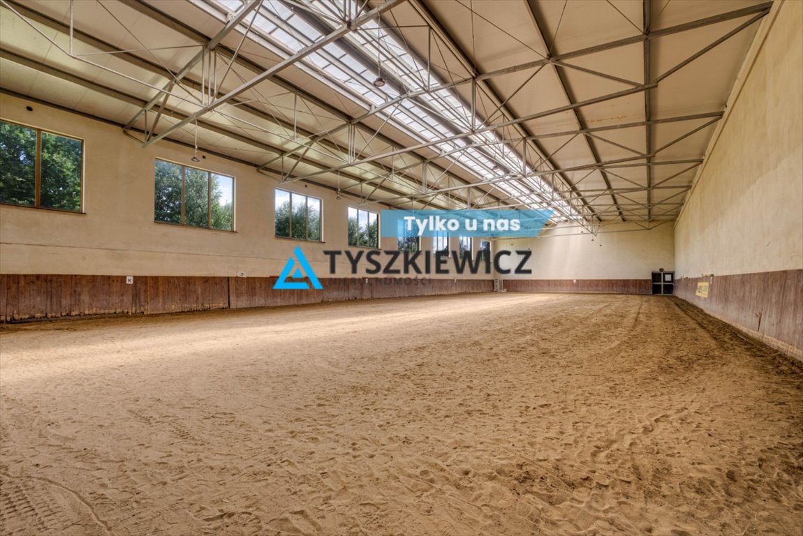 Lokal użytkowy na sprzedaż Czeczewo, Tokarskie Pnie, Dębowa  60 000m2 Foto 1