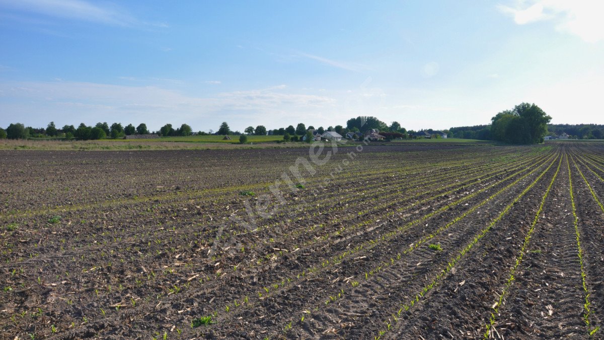 Działka inwestycyjna na sprzedaż Dopiewo  12 948m2 Foto 5