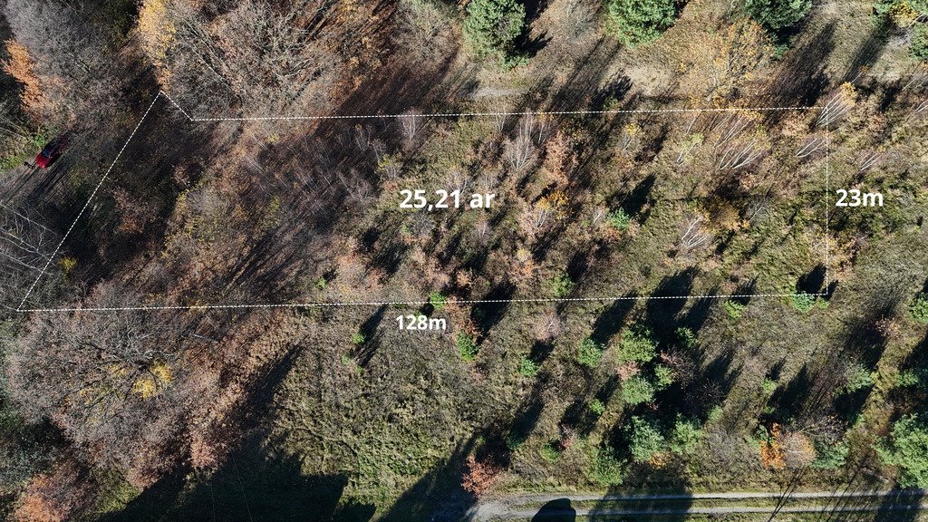 Działka 25 arów pod dom wśród drzew, WZ, podział Głogów Małopolski, Diamentowa  2 521m2 Foto 1