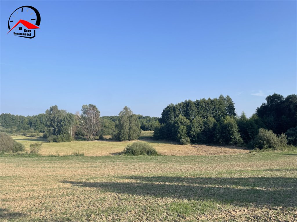 Działka budowlana na sprzedaż Pturek  3 004m2 Foto 7