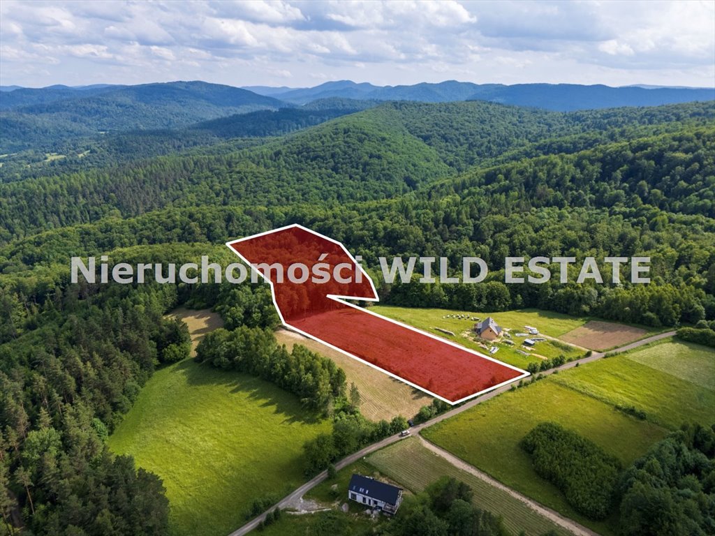 Działka 2,45 ha z lasem, media, blisko Soliny (Bereżnica Wyżna) Solina, Bereźnica Wyżna  24 531m2 Foto 1