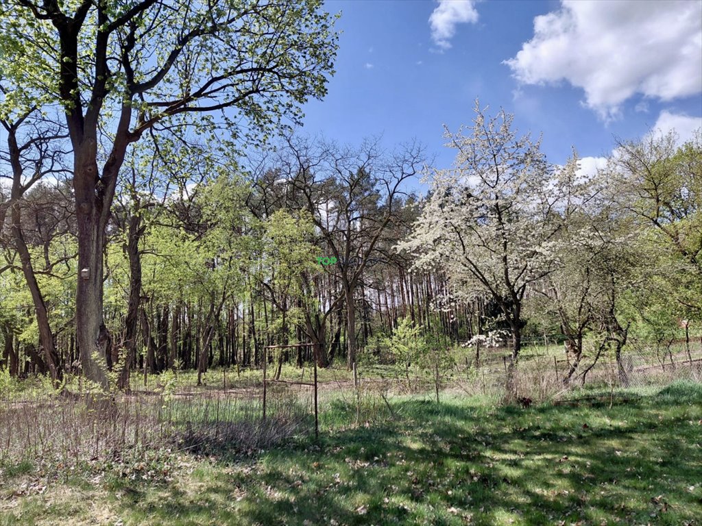 Działka 1580 m² z MPZP, las, rzeka, szybki dojazd - zapraszam Józefów  1 589m2 Foto 1