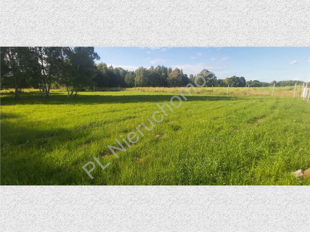 Działka 3 000 m² pod dom jednorodzinny, uzbrojona Radonie  3 000m2 Foto 1