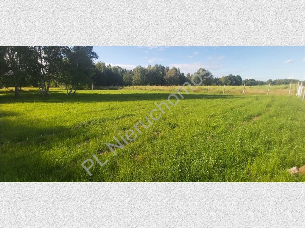 Działka budowlana na sprzedaż Radonie  3 000m2 Foto 1