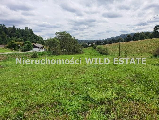 Na sprzedaż działka budowlana 6,2 ha z mediami w Berezce Solina, Berezka  6 200m2 Foto 1
