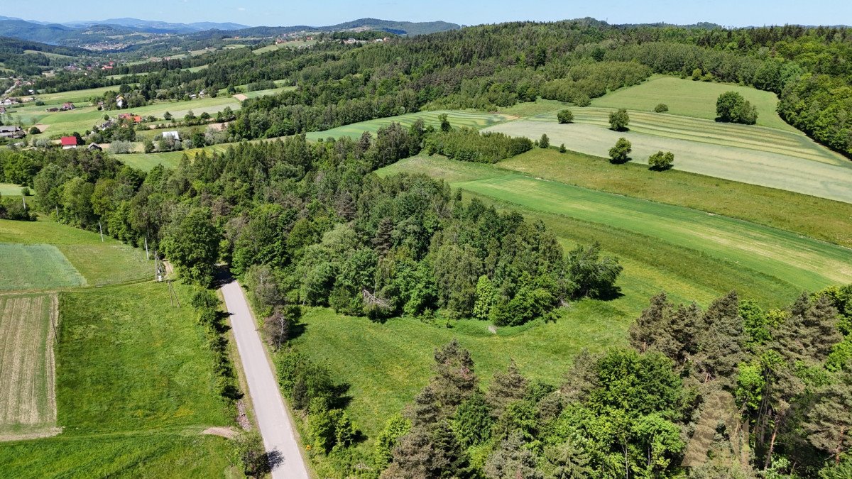 Działka budowlana na sprzedaż Podole-Górowa  4 000m2 Foto 12