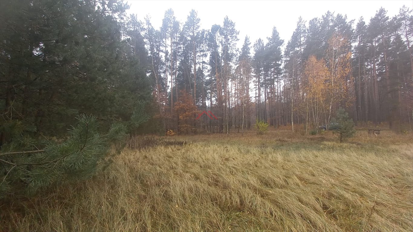 Działka budowlana na sprzedaż Brodnica, Kominy  1 939m2 Foto 5