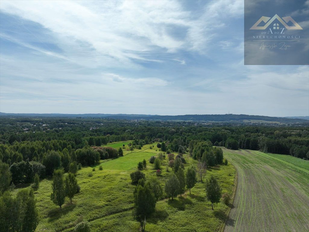 Działka budowlana na sprzedaż Tarnów  5 500m2 Foto 4