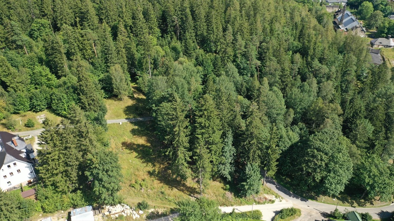 Działka budowlana na sprzedaż Szklarska Poręba, Huta, Kryształowa  1 006m2 Foto 9