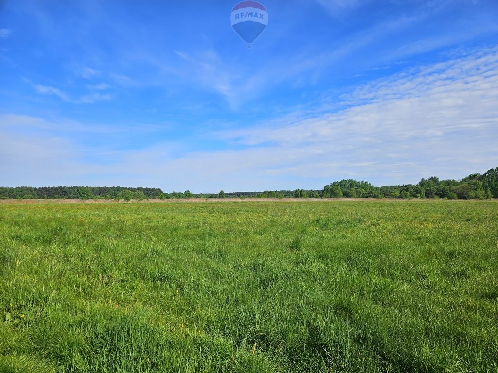 Działka rolna na sprzedaż Zendek, ks. Antoniego Śliwy  19 700m2 Foto 1