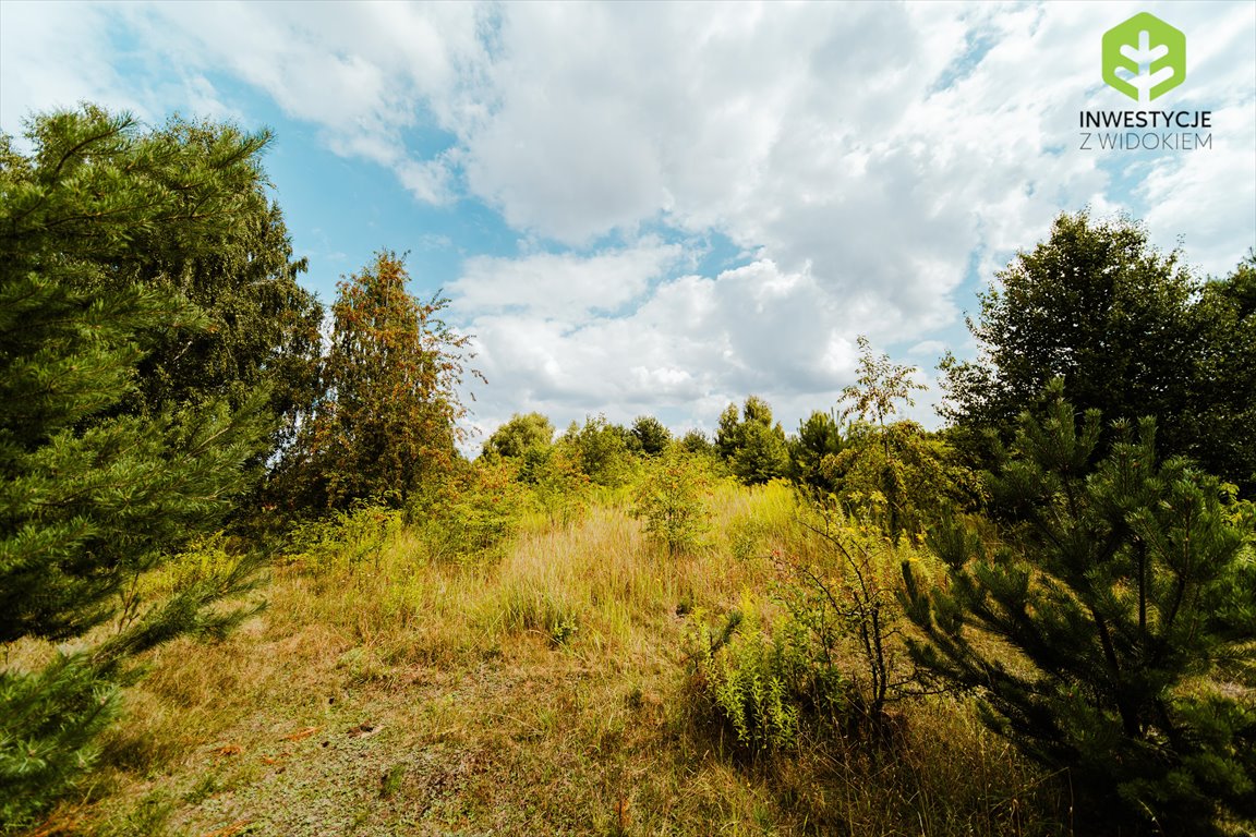 Działka budowlana na sprzedaż Łódź, Działka pod zabudowę rezydencjonalną z sąsiedztwie Lasu Łagiewnickiego  2 908m2 Foto 6