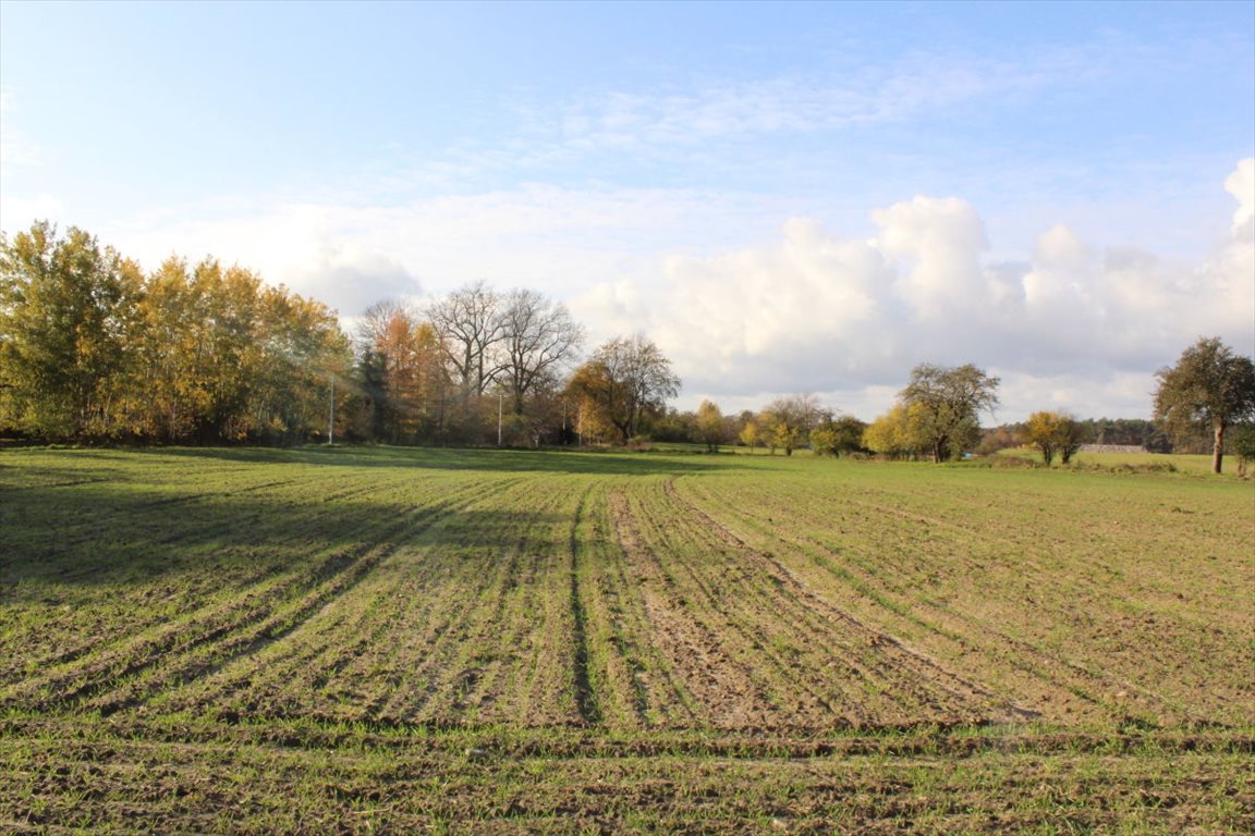 Działka budowlana na sprzedaż Mesze  1 000m2 Foto 1