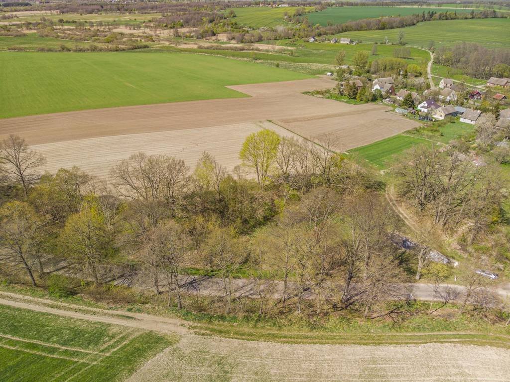 Działka budowlana na sprzedaż Storkowo  3 600m2 Foto 5