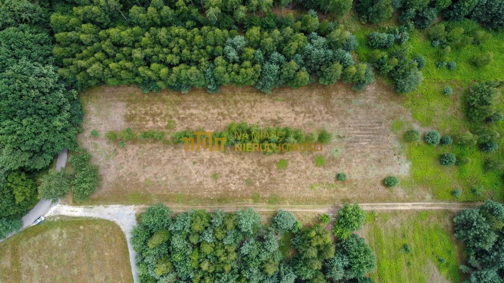 Działka budowlana na sprzedaż Kłoda, Leśna  1 808m2 Foto 7