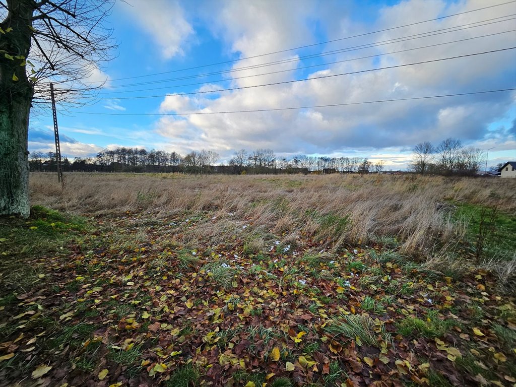 Działka budowlana na sprzedaż Przęsocin  5 177m2 Foto 2