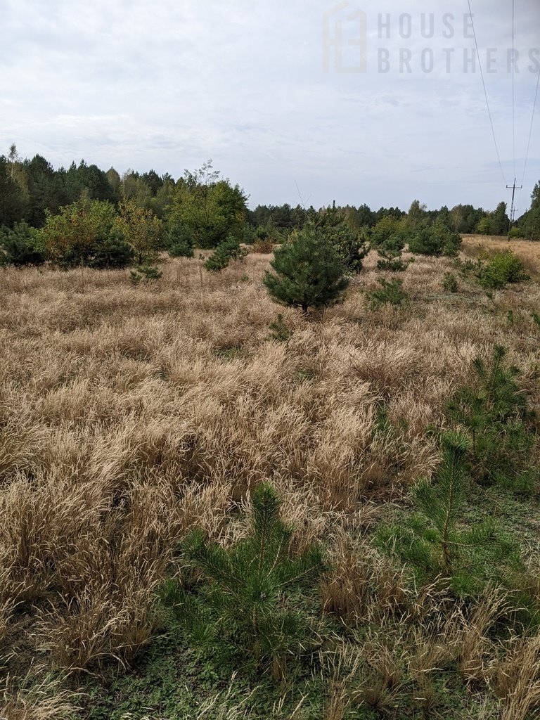 Działka rolna na sprzedaż Chełsty  3 000m2 Foto 7