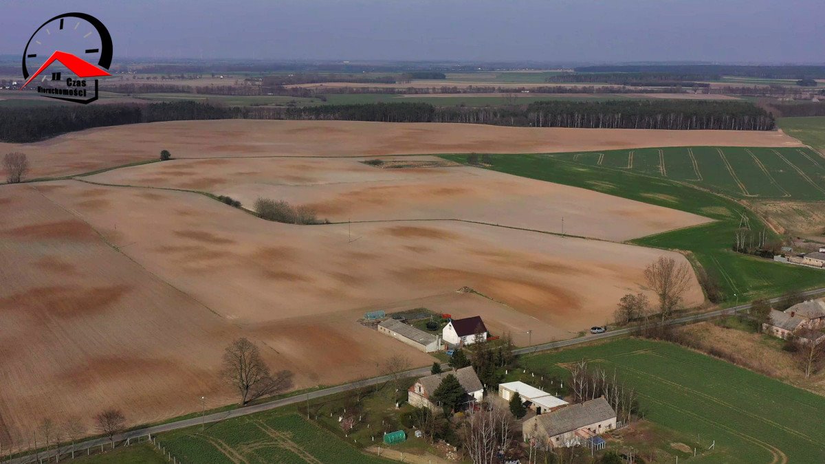 Działka budowlana na sprzedaż Dzierzążno  1 404m2 Foto 4