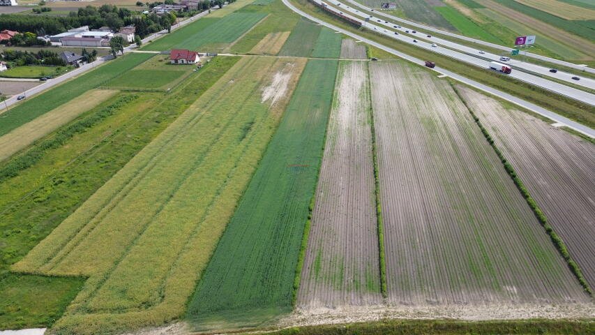 Działka komercyjna na sprzedaż Lesznowola, Nowa Wola  10 792m2 Foto 2