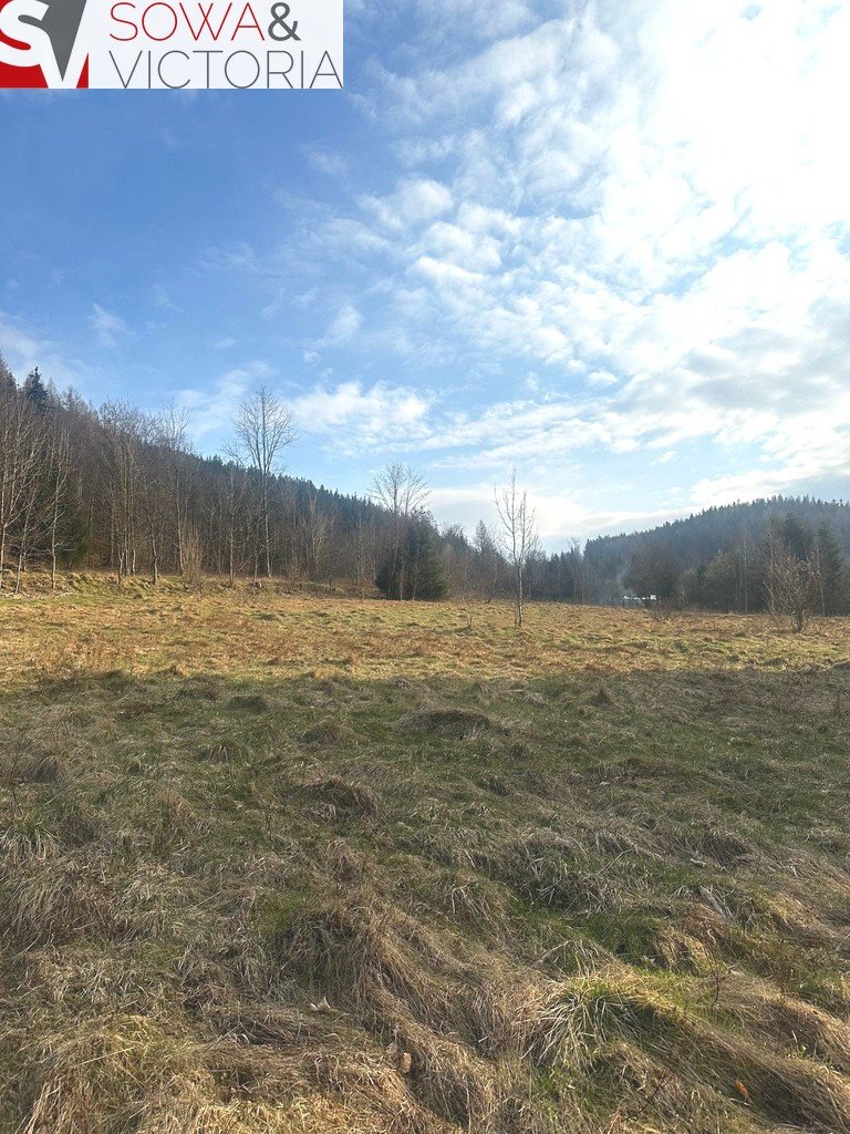 Działka budowlana na sprzedaż Leszczyniec  1 500m2 Foto 3