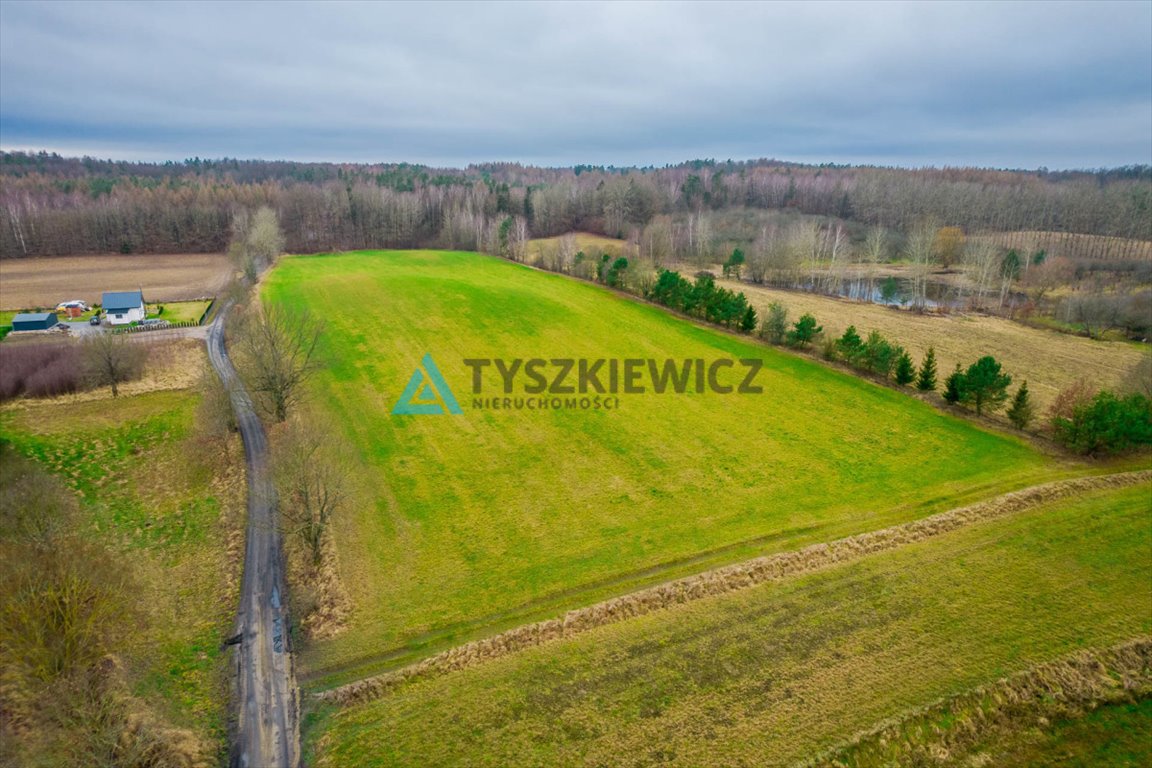 Działka rolna na sprzedaż Głodowo  28 400m2 Foto 2