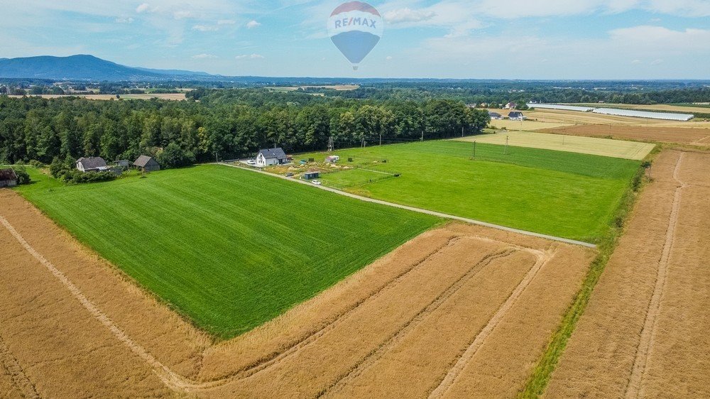 Działka rolna na sprzedaż Nidek, Różana  14 791m2 Foto 3