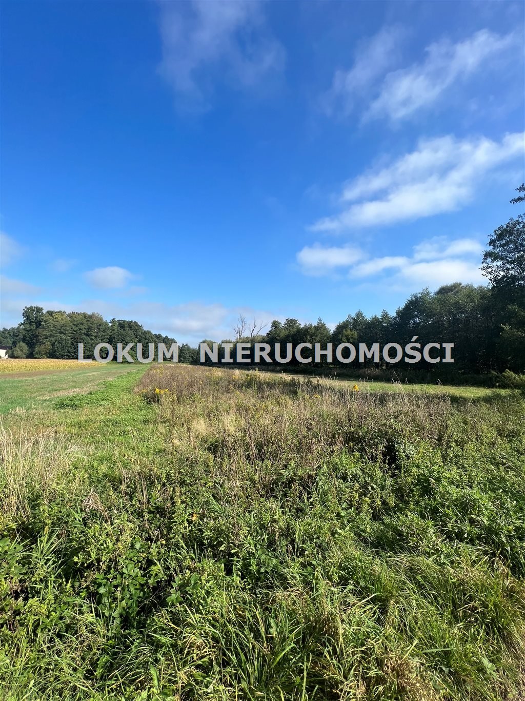 Zapraszam do obejrzenia działki rolnej 2 554 m² w Gołkowicach Gołkowice, Celna  2 554m2 Foto 1