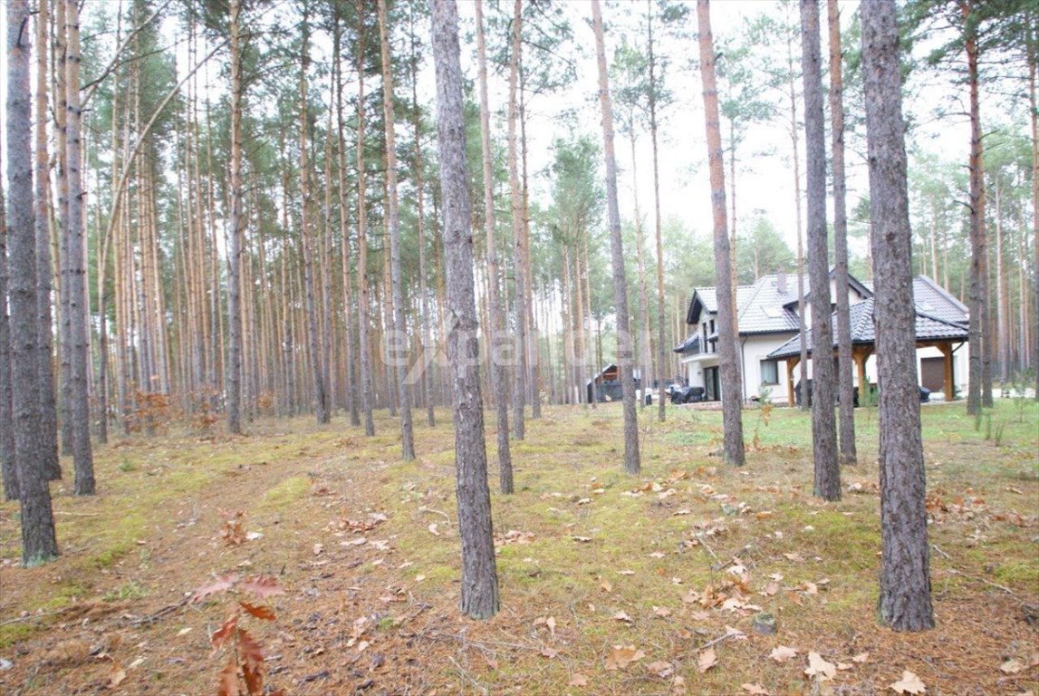 Działka budowlana na sprzedaż Władysławów  2 000m2 Foto 1