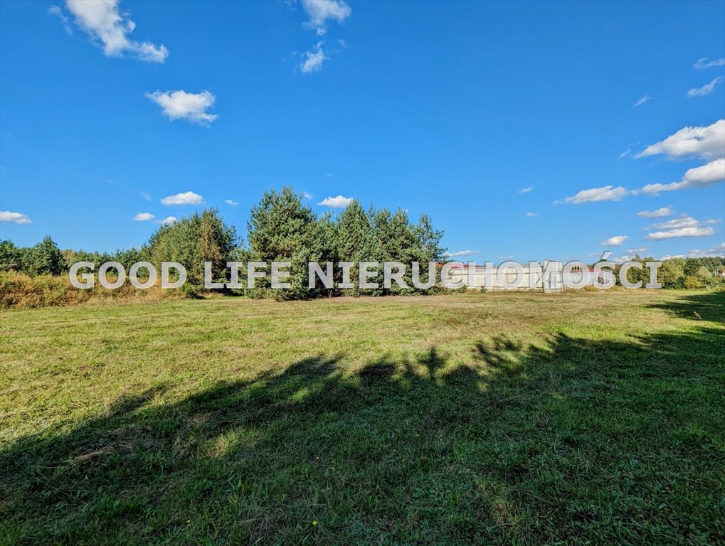 Lokal użytkowy na sprzedaż Wysoka Głogowska  36 300m2 Foto 7