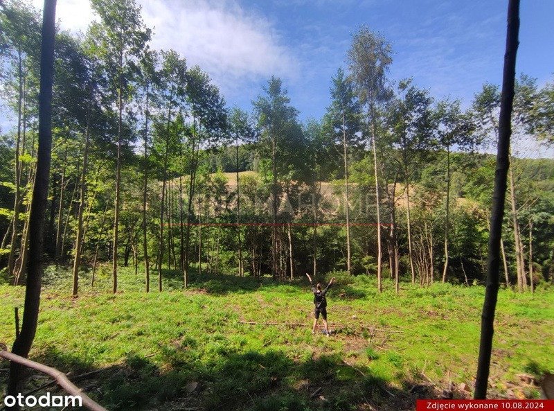 Działka budowlana na sprzedaż Konradów  1 500m2 Foto 4