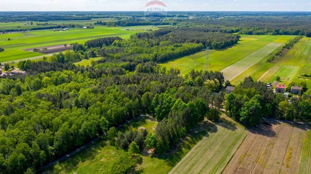 Działka rolna na sprzedaż Suchowizna  3 100m2 Foto 7