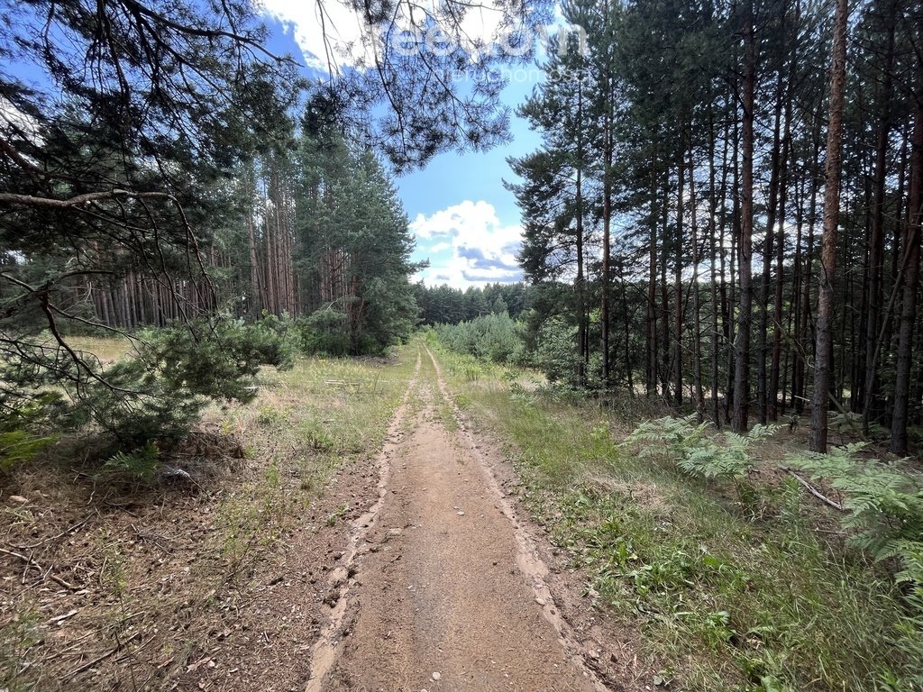 Działka budowlana na sprzedaż Nowodworce, Krzywe Góry  3 104m2 Foto 1
