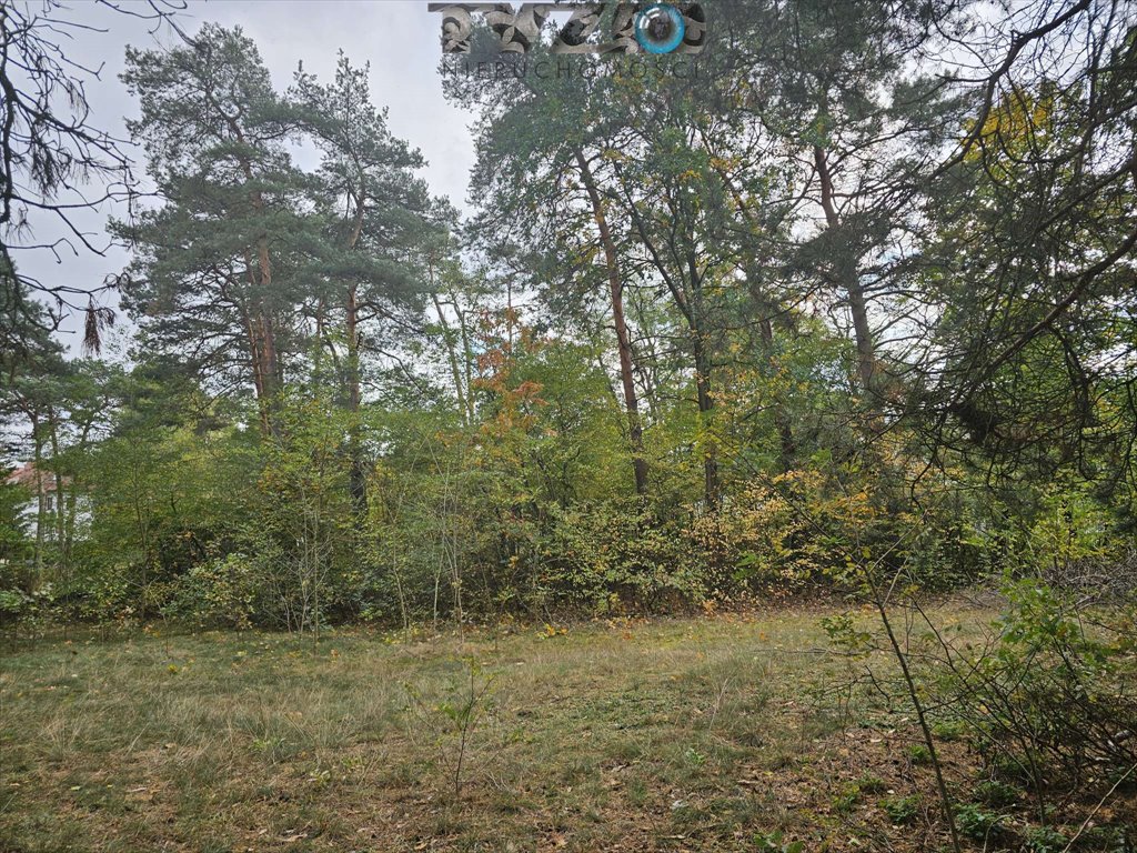 Działka budowlana na sprzedaż Otwock, Otwock, Pogodna  5 600m2 Foto 1
