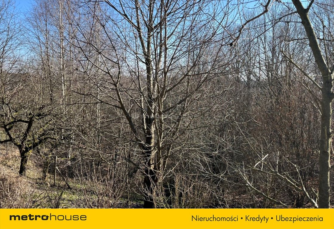 Działka budowlana na sprzedaż Mogilany, Górska  2 444m2 Foto 5