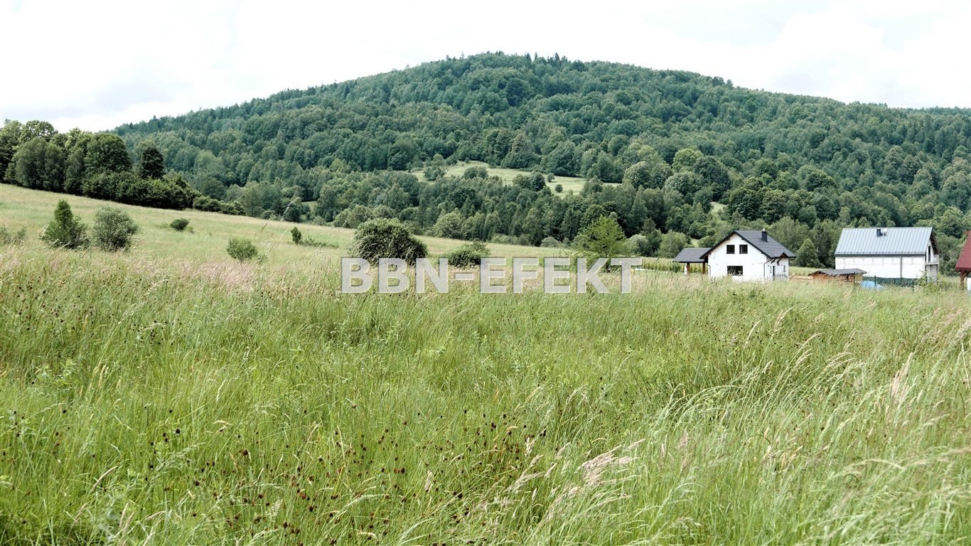 Działka budowlana na sprzedaż Krzyżowa  5 500m2 Foto 1