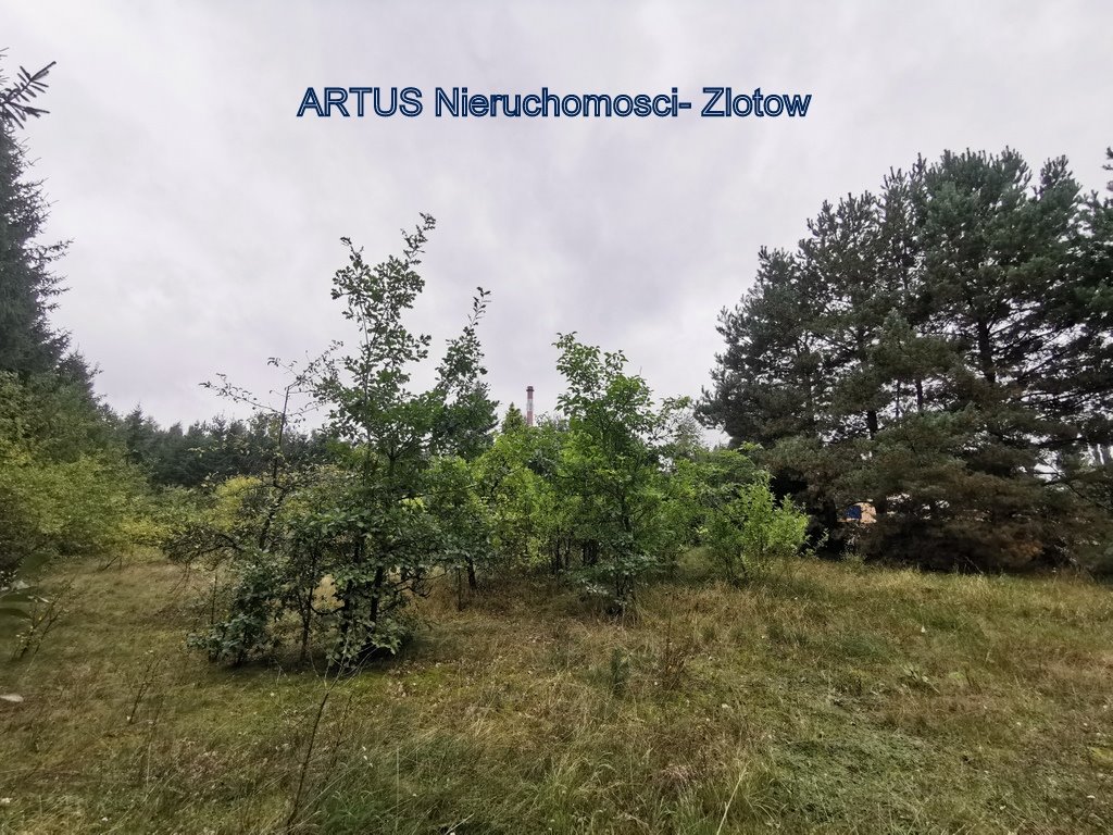 Działka przemysłowo-handlowa na sprzedaż Złotów, Złotów  3 067m2 Foto 1