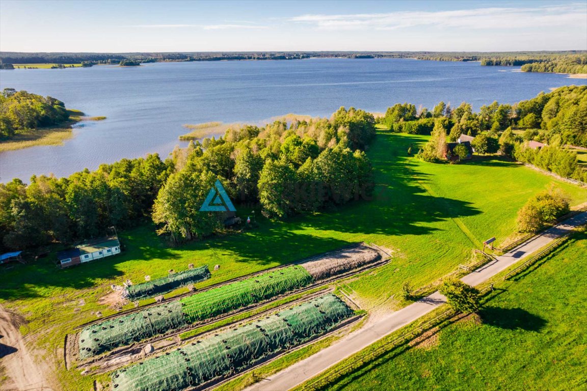 Działka budowlana na sprzedaż Peplin  4 000m2 Foto 9