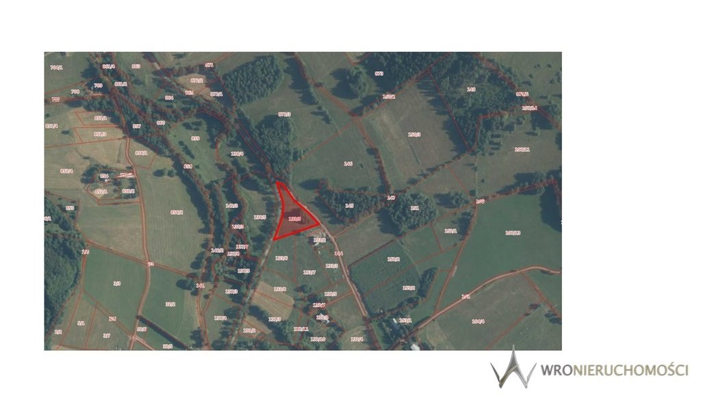 Działka 5000 m² pod dom jednorodzinny w Dworkach Dworki  5 000m2 Foto 1