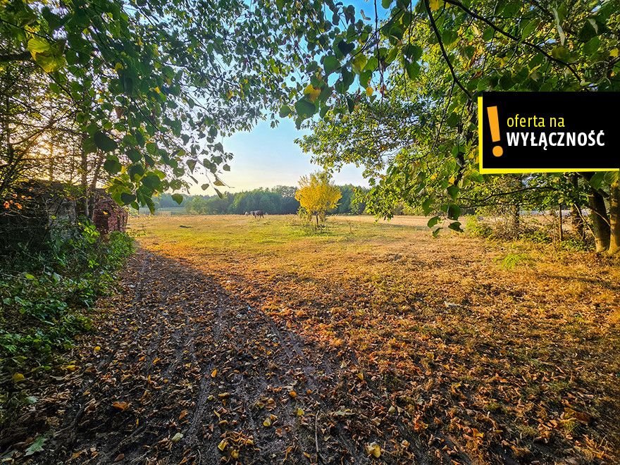 Działka budowlana na sprzedaż Niedźwiedź  8 300m2 Foto 1