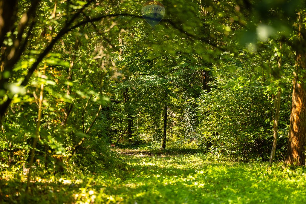 Działka budowlana na sprzedaż Zofiówka  1 815m2 Foto 17