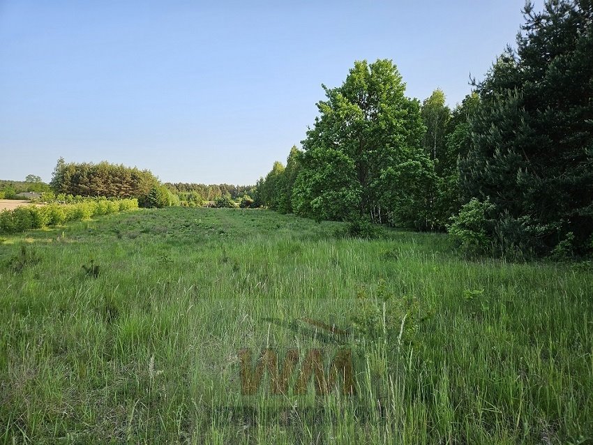 Działka siedliskowa na sprzedaż Mogielnica  33 800m2 Foto 14