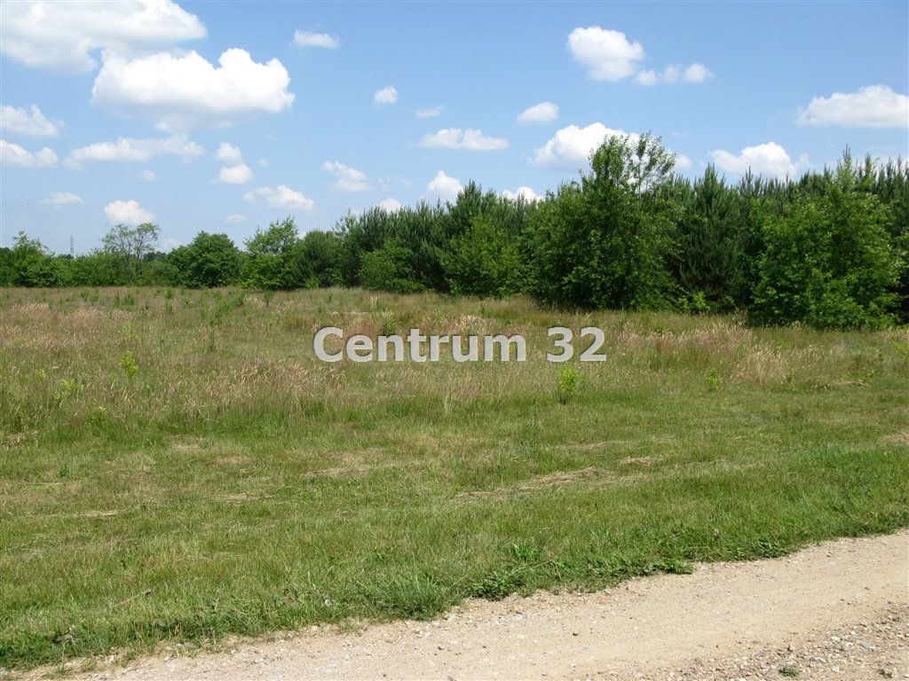 Działka pod usługi komercyjne 4 797 m² w Skrzeszewie Skrzeszew, Szkolna  4 797m2 Foto 1