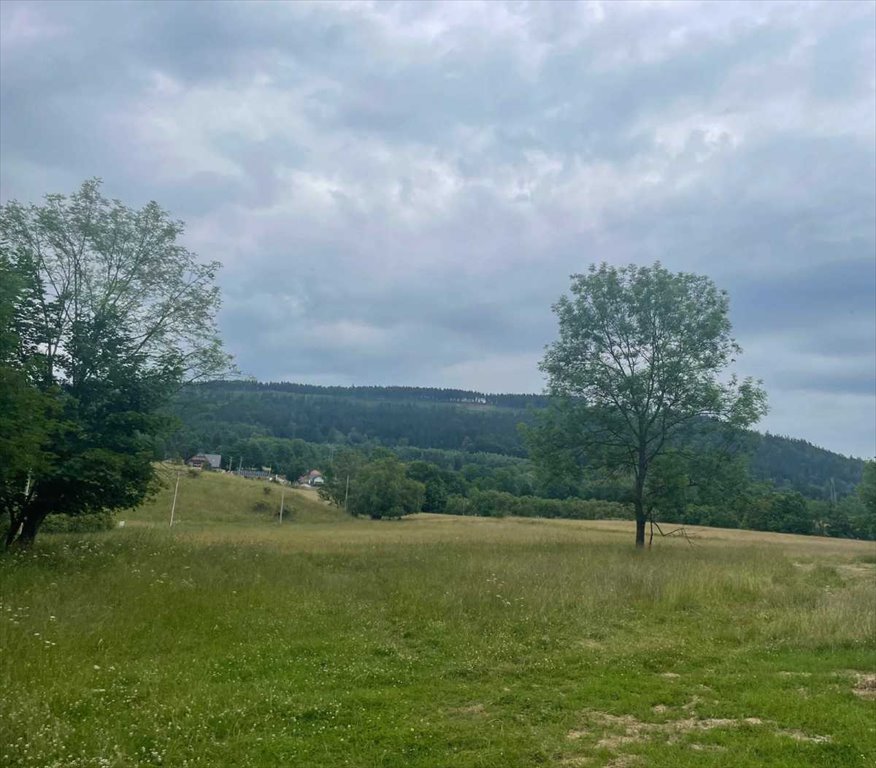 Działka inna na sprzedaż Nowa Ruda  1 300m2 Foto 6