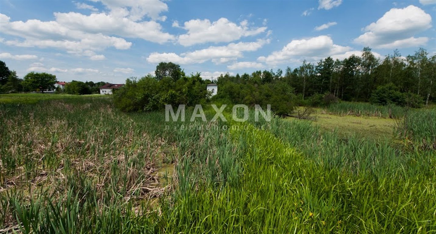 Działka rekreacyjna na sprzedaż Zawiszyn  9 000m2 Foto 3