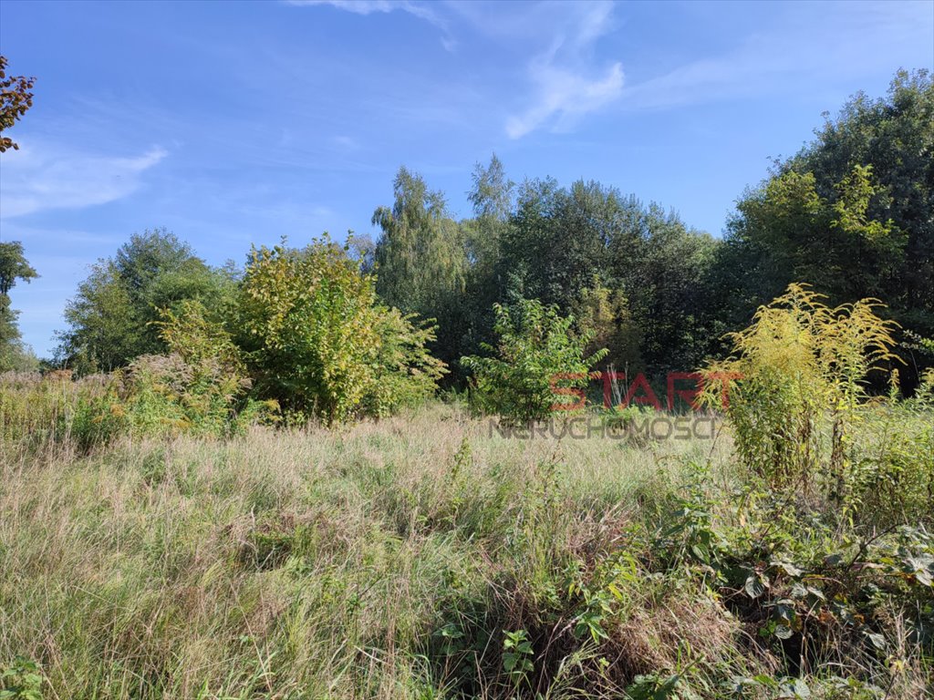 Działka budowlana na sprzedaż Odrano-Wola  3 400m2 Foto 12