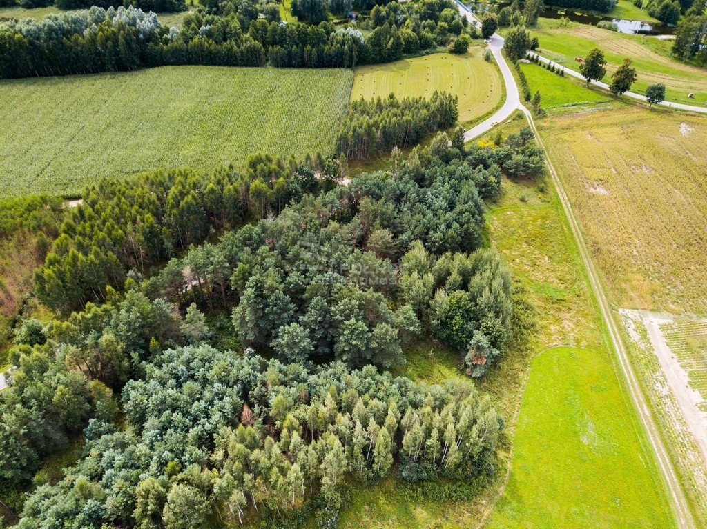 Działka inna na sprzedaż Makosieje  6 477m2 Foto 10